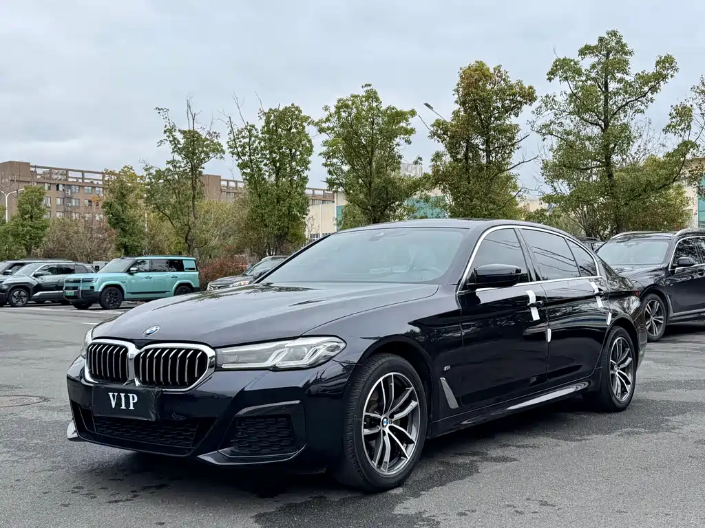 BMW 5 Series 2020
