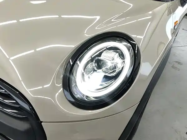 MINI 2019