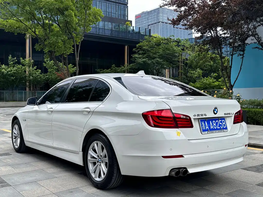 BMW 5 Series 2013 — фото 6