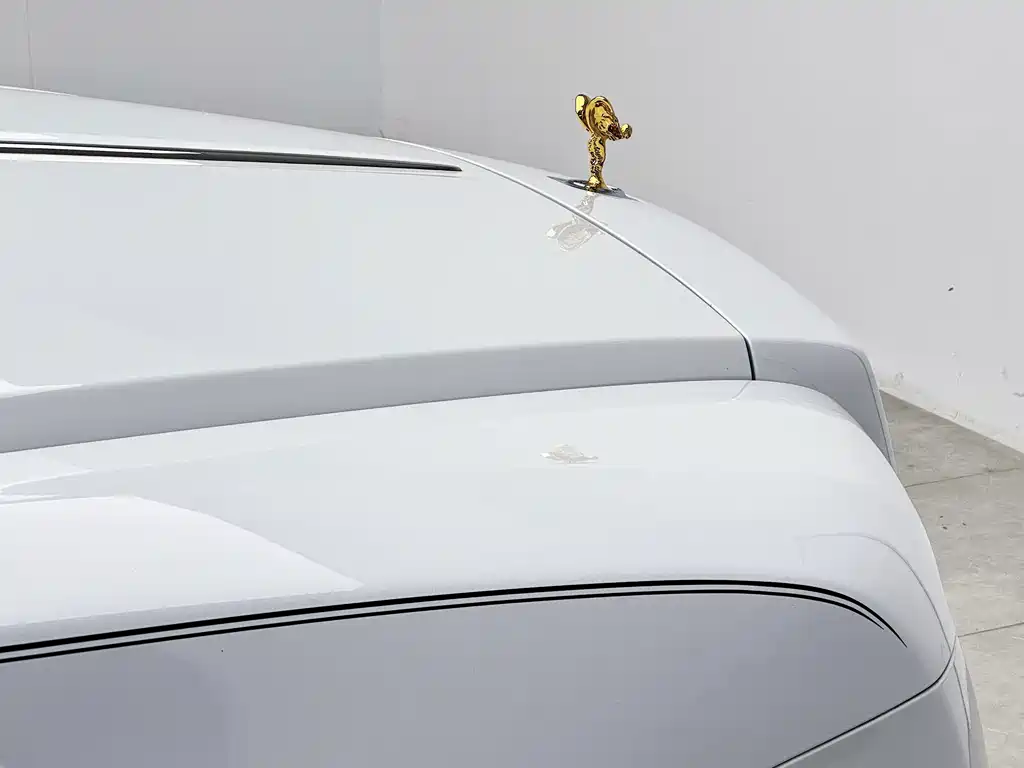 Rolls-Royce Yao Ying 2019 — фото 24