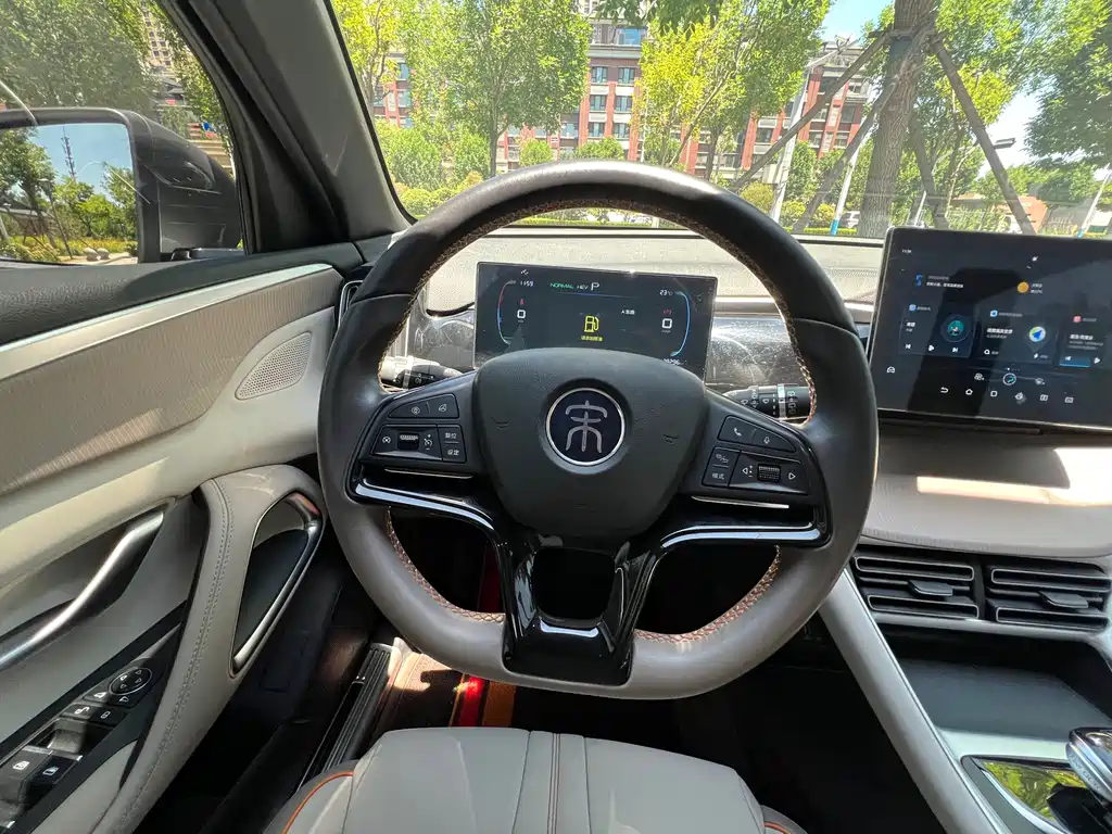 BYD Pro New Energy 2024 — фото 12