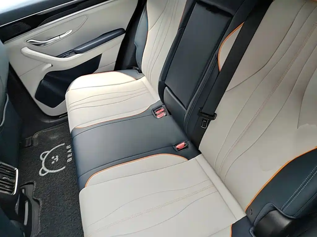 BYD Song PLUS New Energy 2024 — фото 17