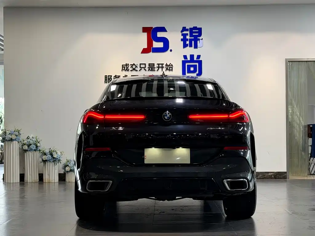BMW X6 2020