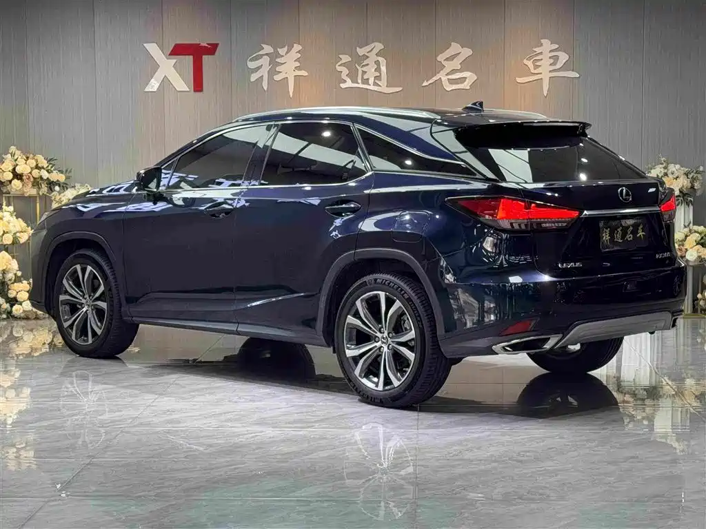 Lexus RX 2020 — фото 21