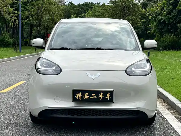 Wuling Bingo 2024