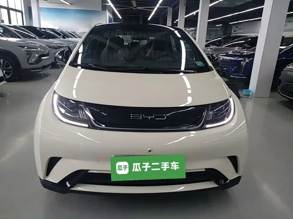 BYD Dolphin 2022