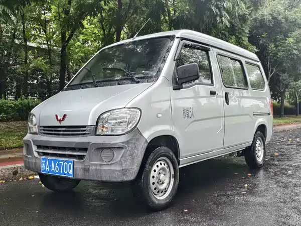 Wuling Sunshine 2020