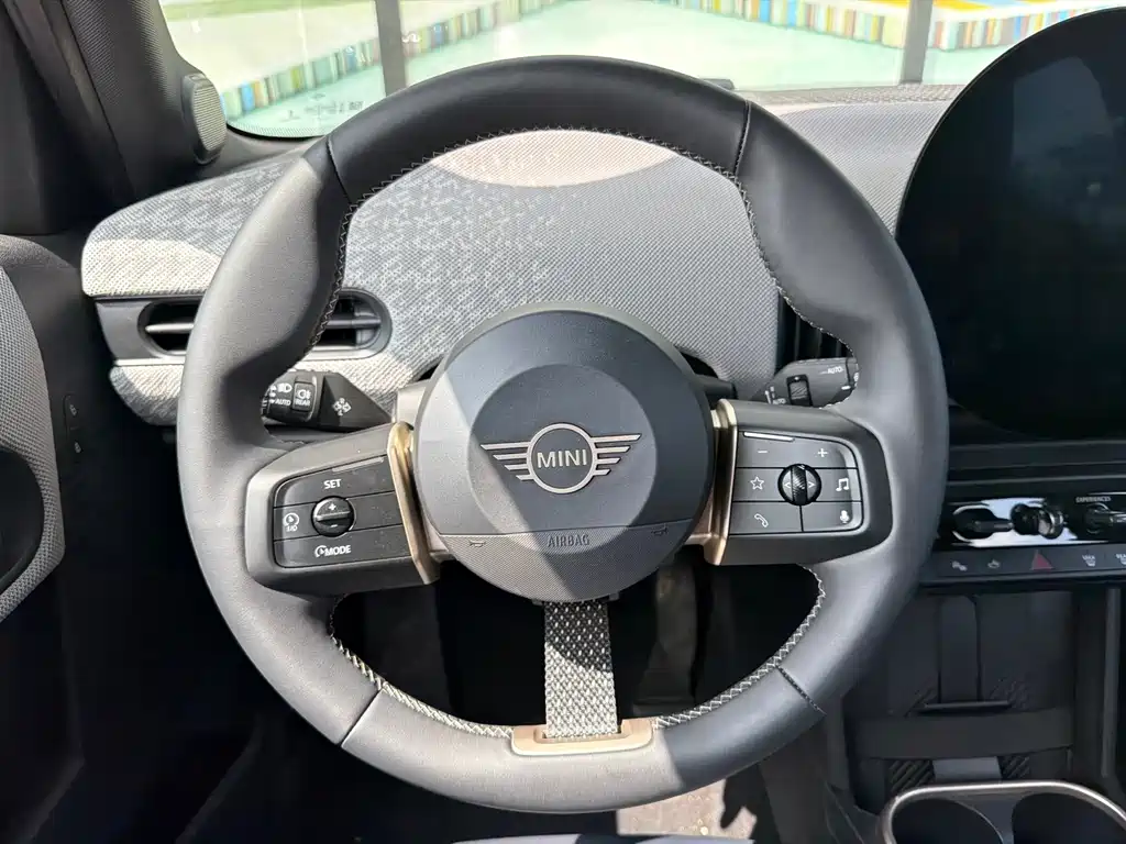 MINI MINI 2025
