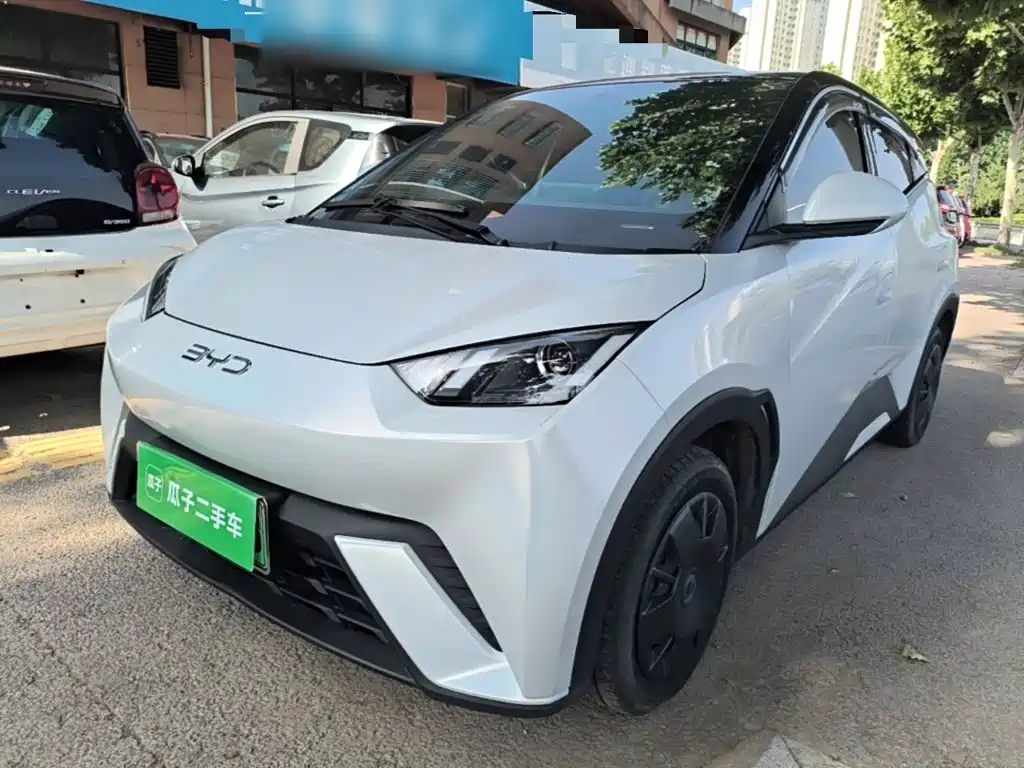 BYD Seagull 2024
