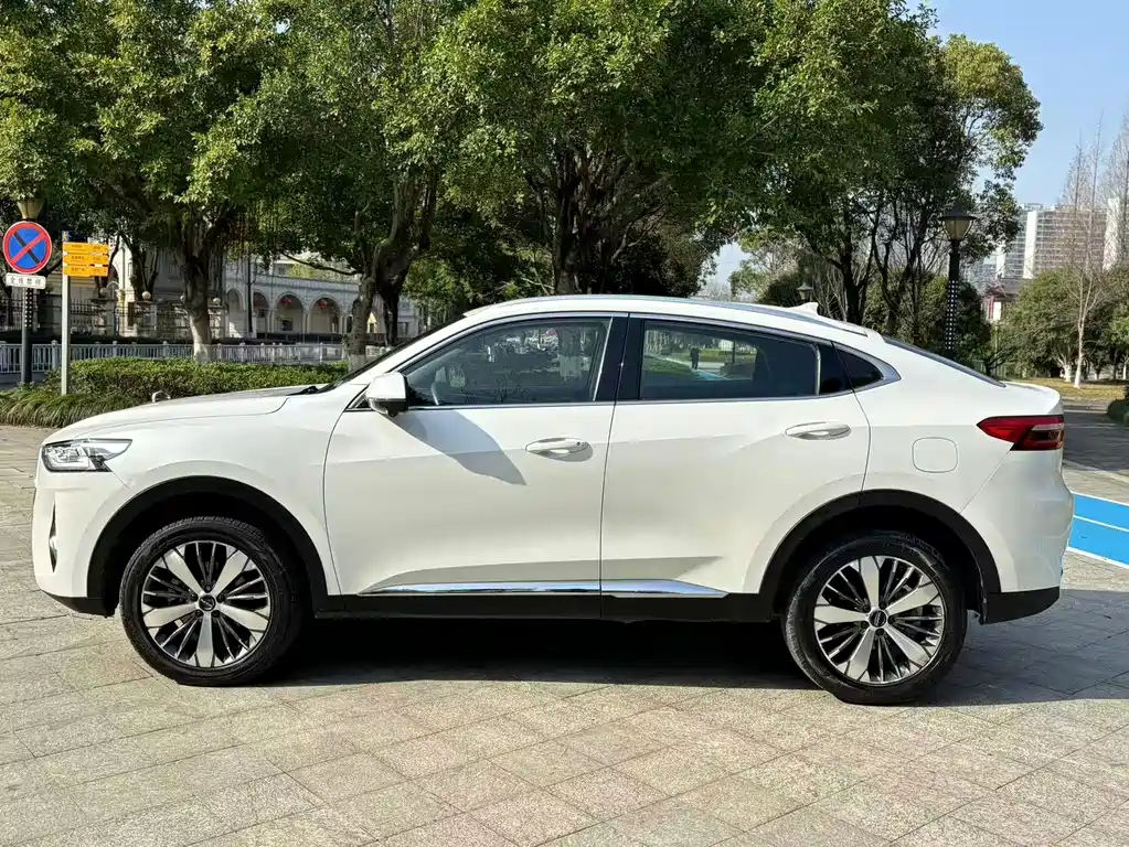 Haval F7x 2021 — фото 4