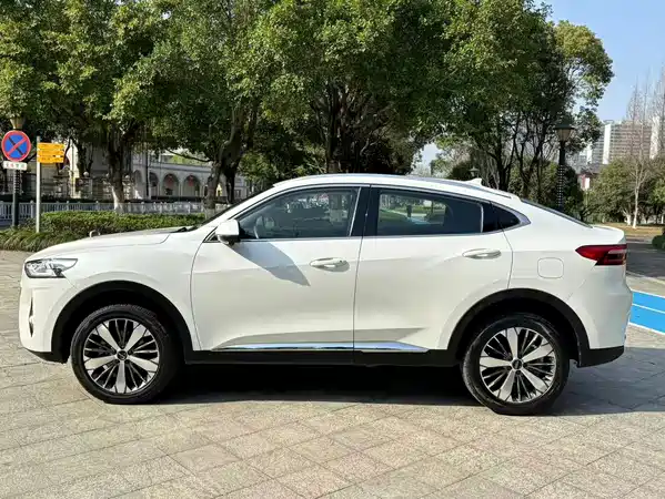 Haval F7x 2021