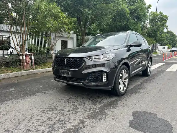 Wey VV6 2019