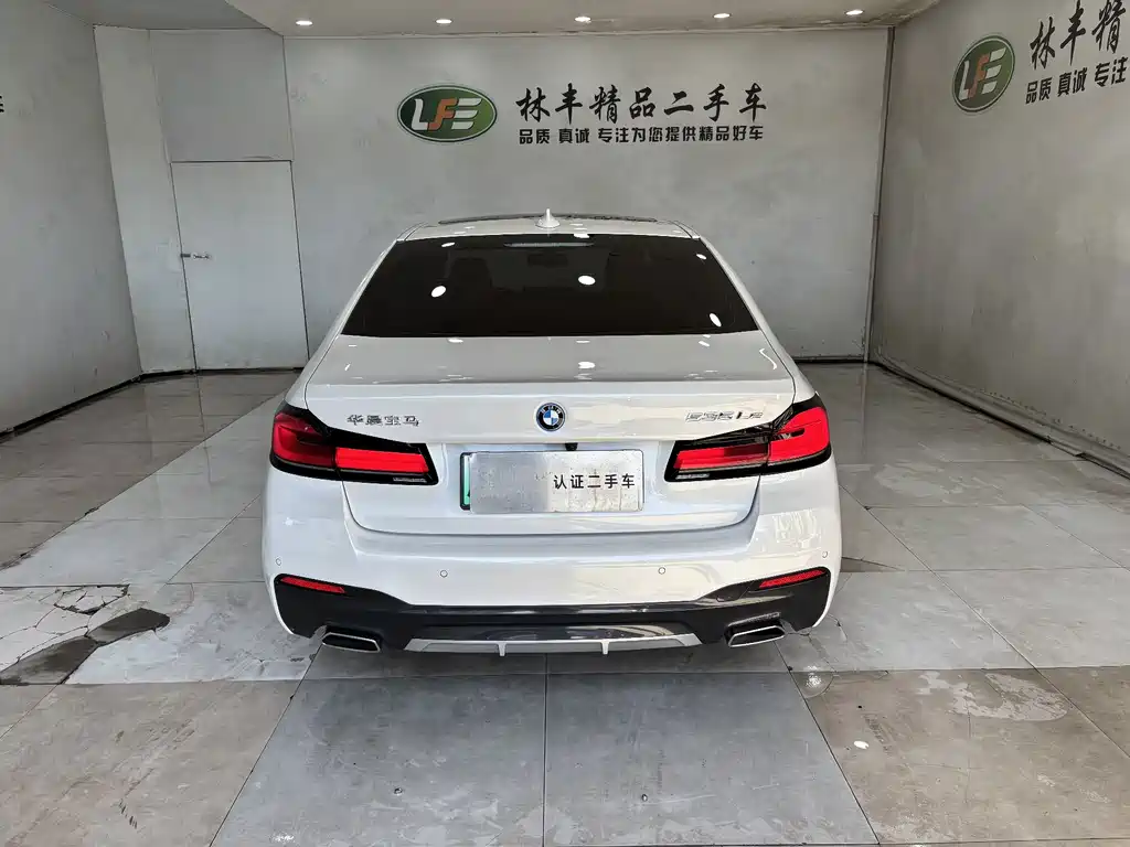 BMW 5 Series New Energy 2022