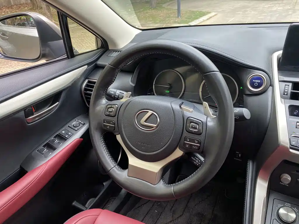 Lexus NX 2020 — фото 18