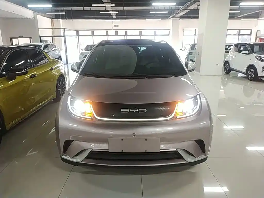 BYD Dolphin 2022