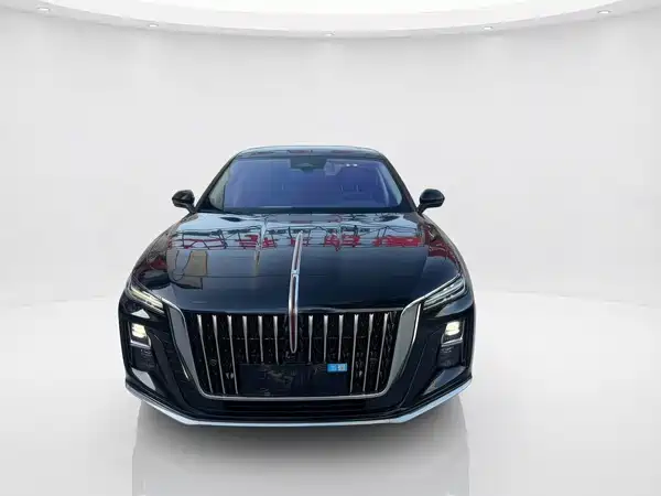 Hongqi H5 2024