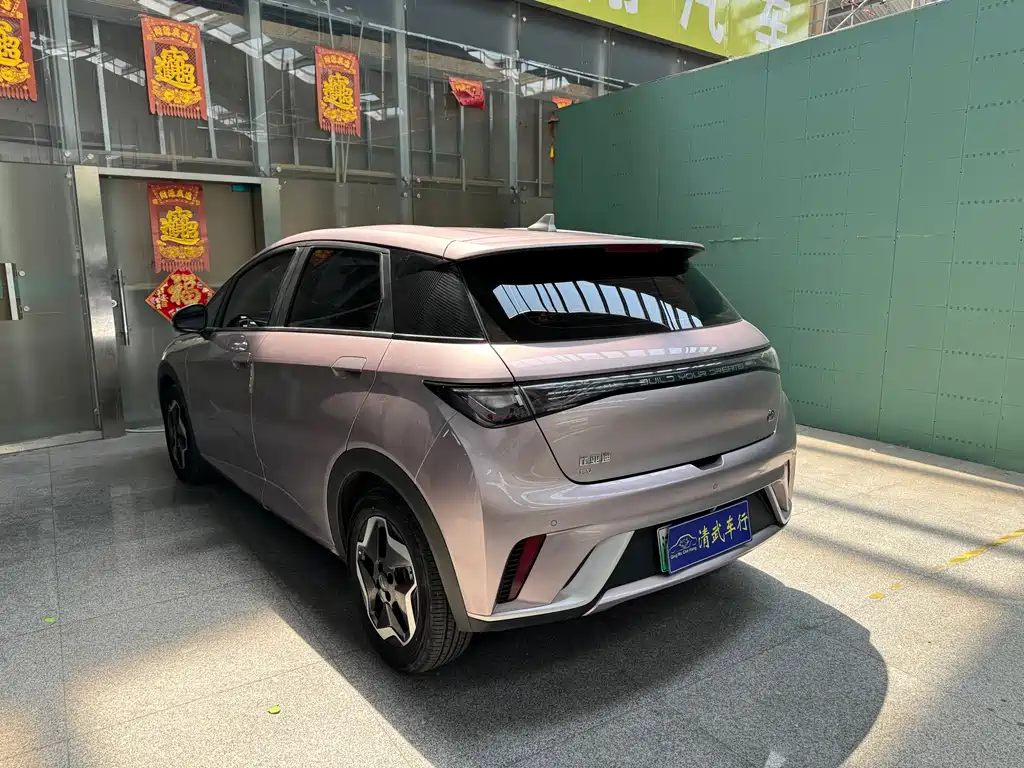 BYD Dolphin 2023 — фото 13