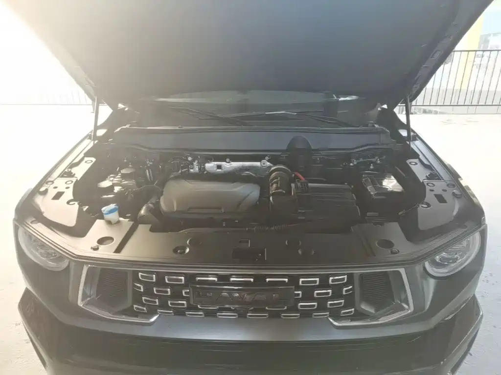 Haval Big Dog PLUS New Energy 2023 — фото 20