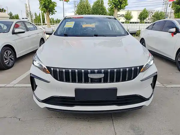 Geely Binrui 2024