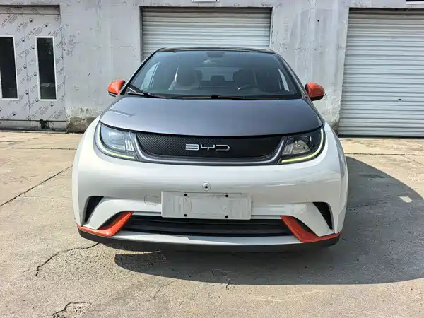 BYD Dolphin 2022