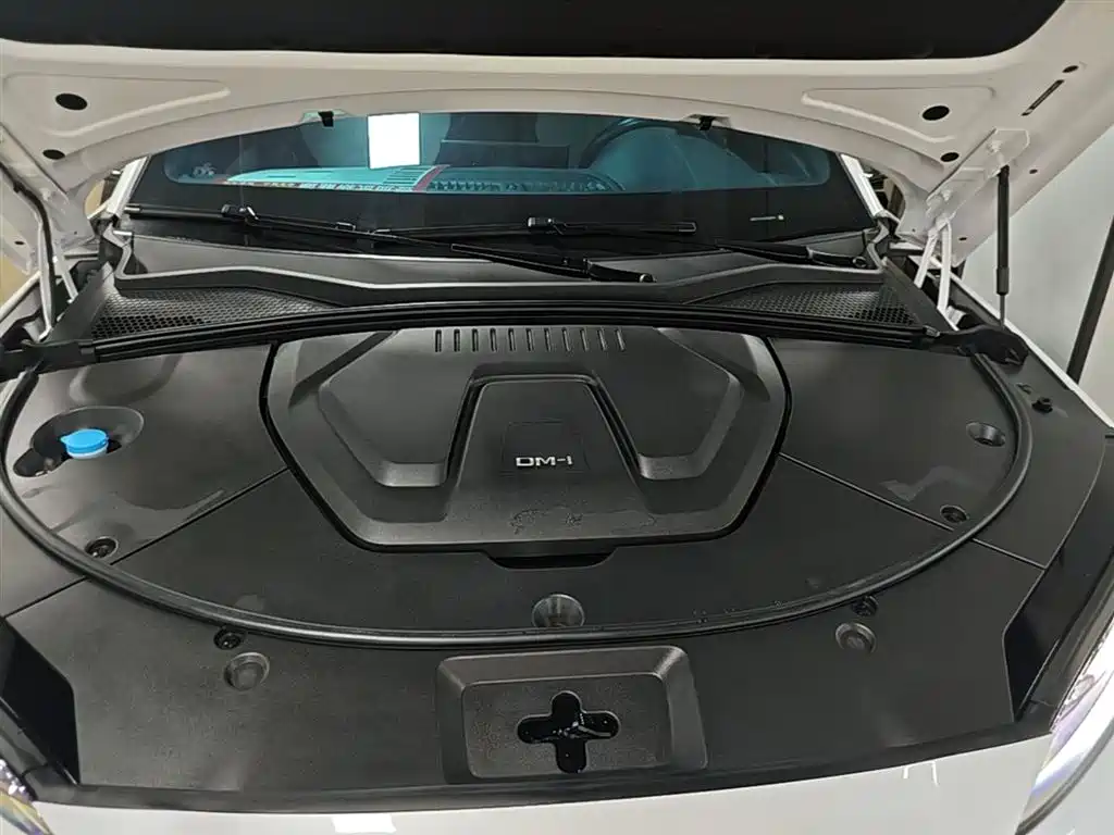 BYD PLUS New Energy 2023 — фото 20