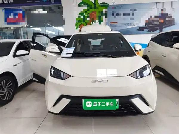 BYD Seagull 2024