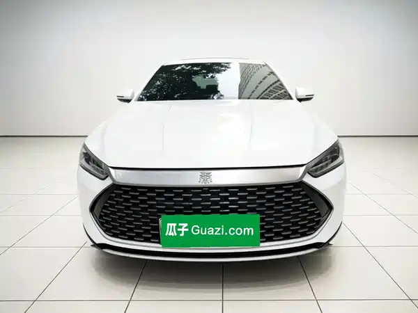 BYD Qin PLUS 2022