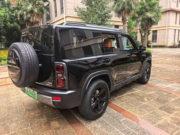 Haval Raptors New Energy 2024