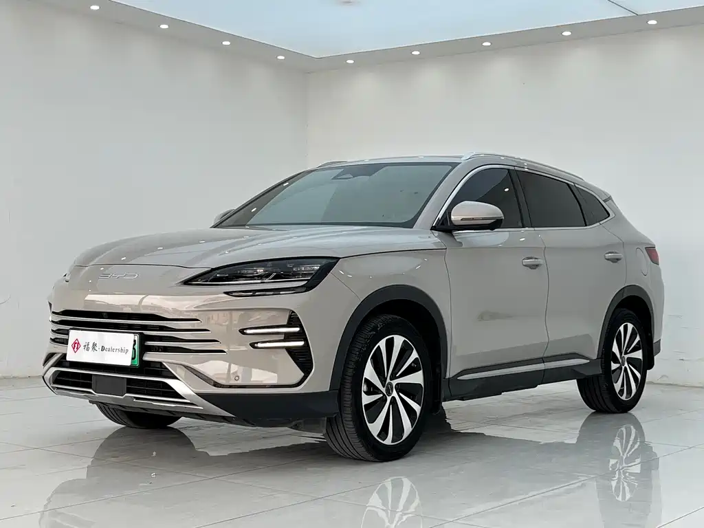 BYD PLUS New Energy 2024 — фото 2