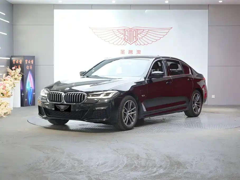 BMW 5 Series New Energy 2022