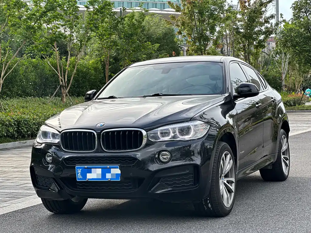 BMW X6 2019 — фото 1