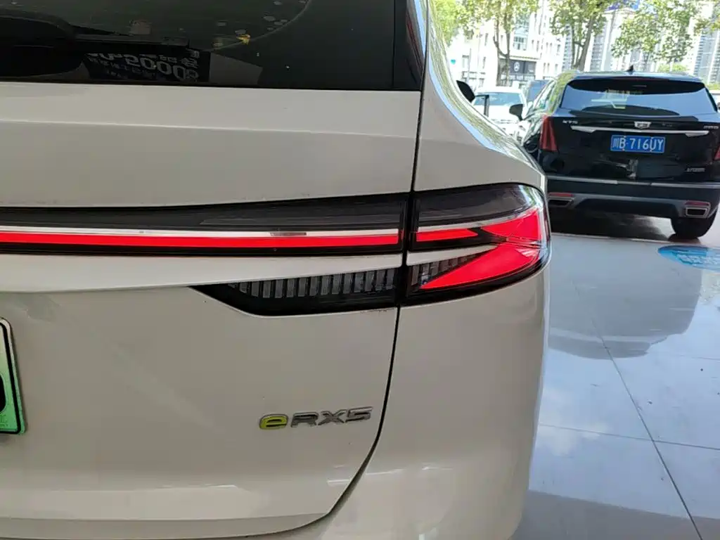Roewe RX5 New Energy 2024 — фото 8
