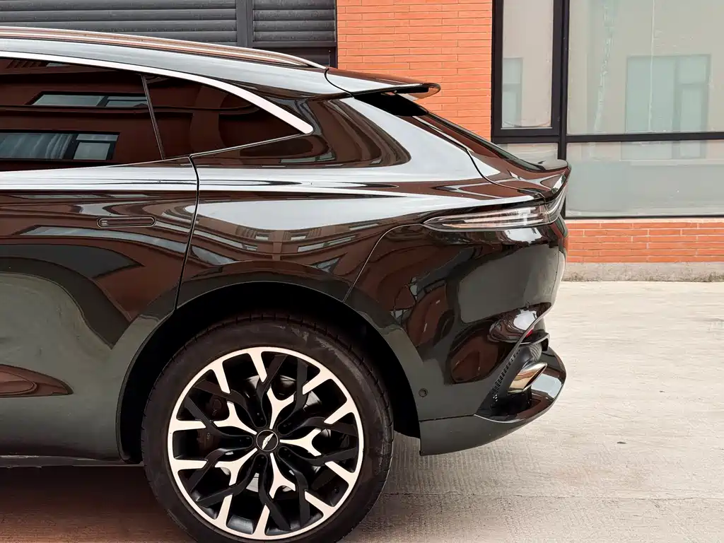 Aston Martin DBX 2021 — фото 20