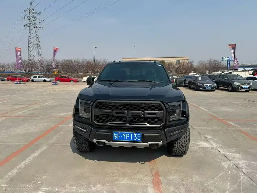 Ford F-150 Raptor 2019 — фото 2