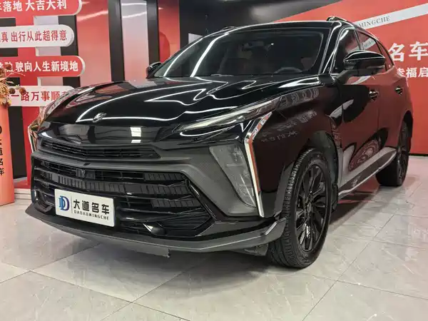 Dongfeng Fengxing T5 EVO 2024