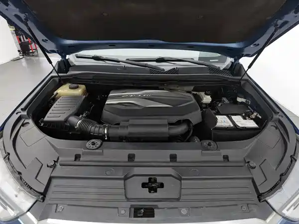 Maxus D90 2018