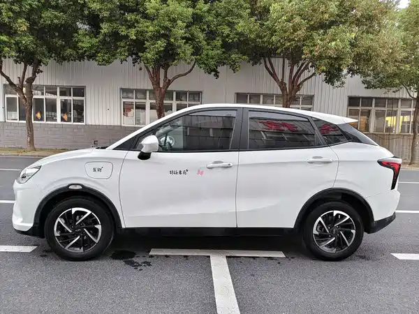 Neta V 2022
