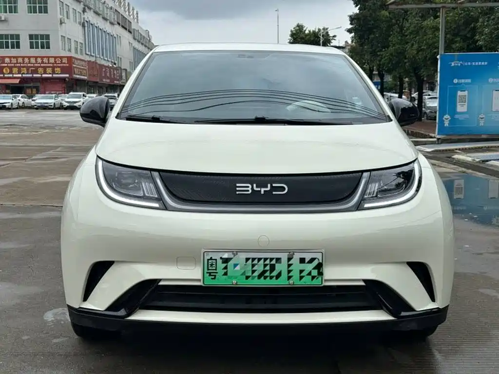BYD Dolphin 2025