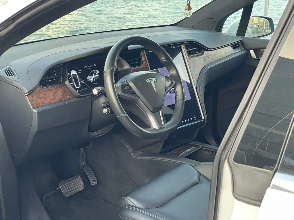 Tesla Model X 2020 — фото 12