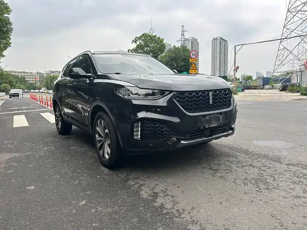 Wey VV6 2019