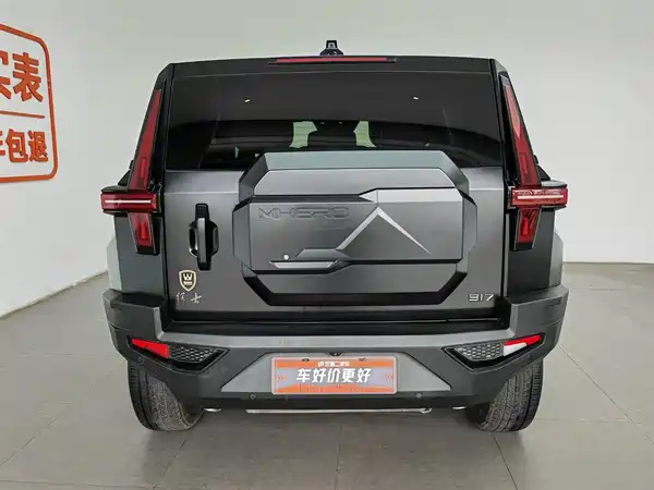 Mengshi 917 2023