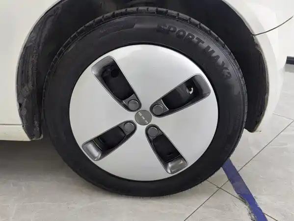 Ora Black Cat 2019
