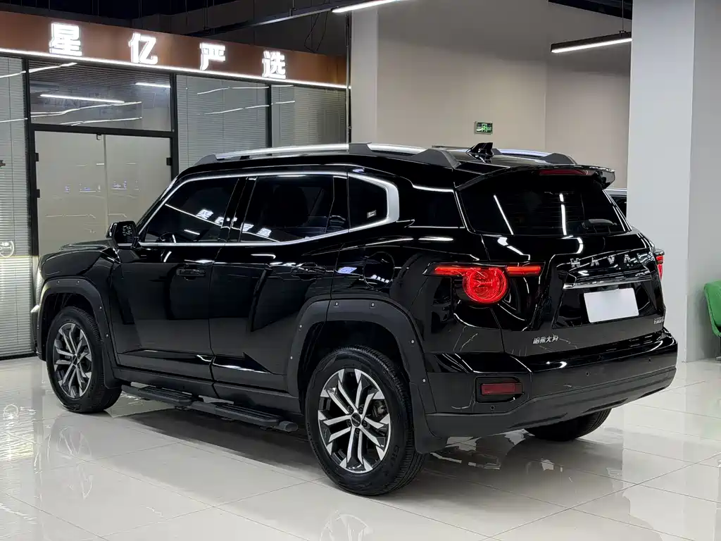 Haval Dog PLUS 2024 — фото 20
