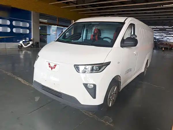 Wuling Yangguang 2024