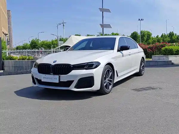 BMW 5 Series New Energy 2021