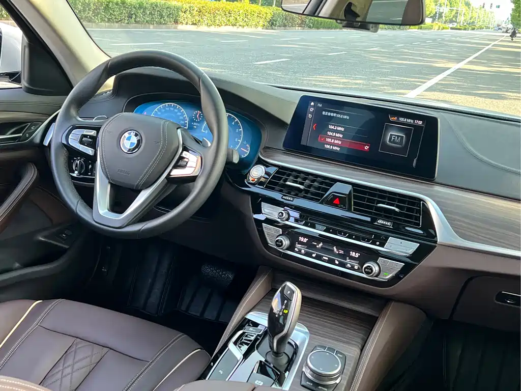 BMW 5 Series 2019 — фото 10