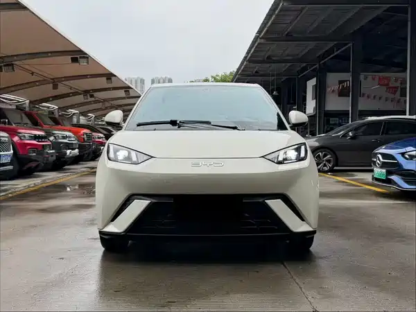 BYD Seagull 2024