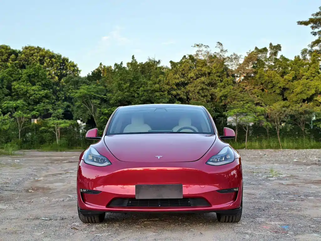 Tesla Model Y 2022 — фото 2