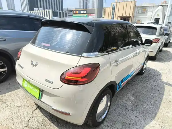 Wuling Bingo 2024