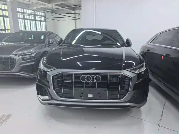 Audi Q8 2019